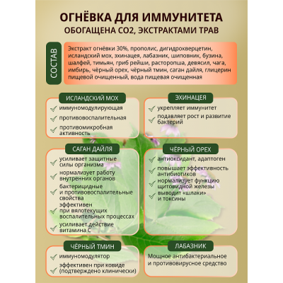 Ognewka organic immunо для укрепления иммунитета, 110 мл